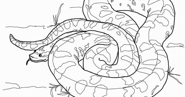 Anaconda coloring #14, Download drawings