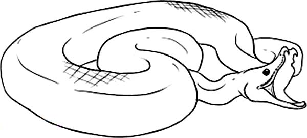 Anaconda coloring #6, Download drawings