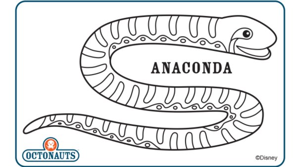 Anaconda coloring #3, Download drawings