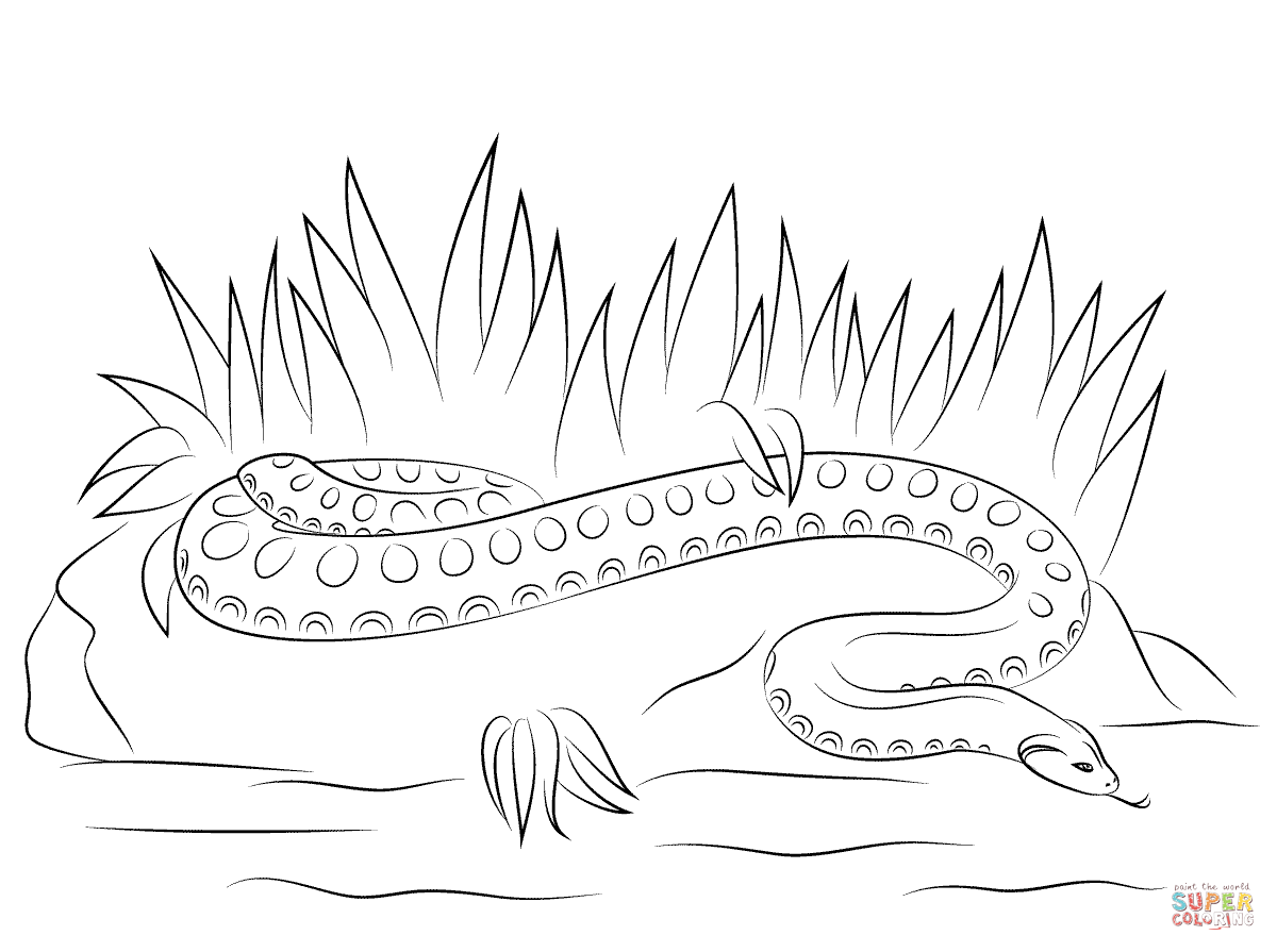 Anaconda coloring #8, Download drawings