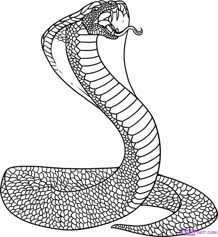 Anaconda coloring #13, Download drawings