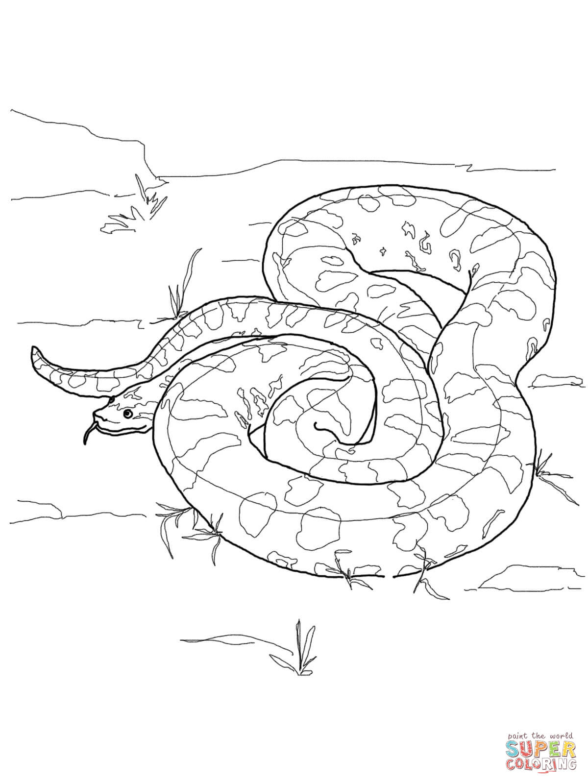 Anaconda coloring #10, Download drawings