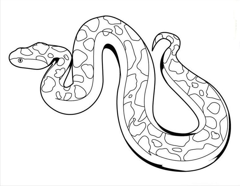 Anaconda coloring #19, Download drawings