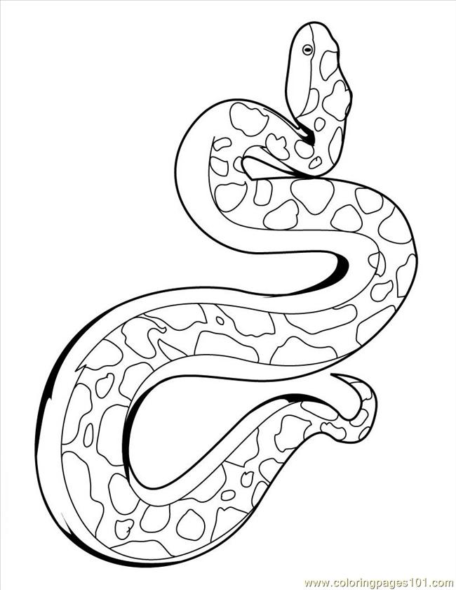 Brown Tree Snake coloring #8, Download drawings