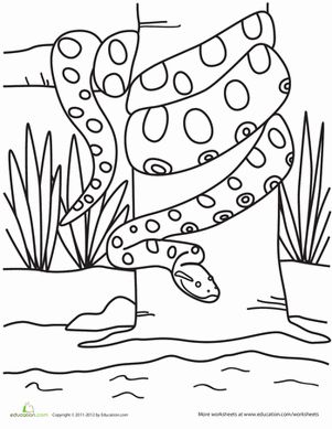 Anaconda coloring #15, Download drawings