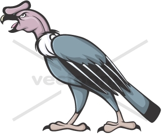 Andean Condor clipart #19, Download drawings