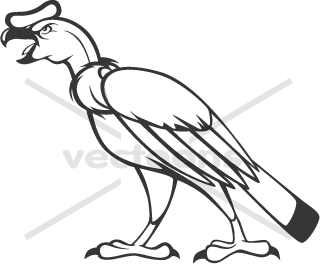 Andean Condor clipart #1, Download drawings