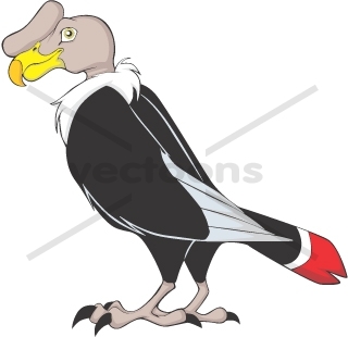 Andean Condor clipart #18, Download drawings