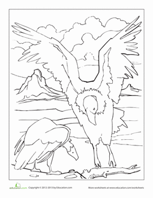 Condor coloring #14, Download drawings