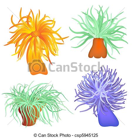 Anemone clipart #13, Download drawings