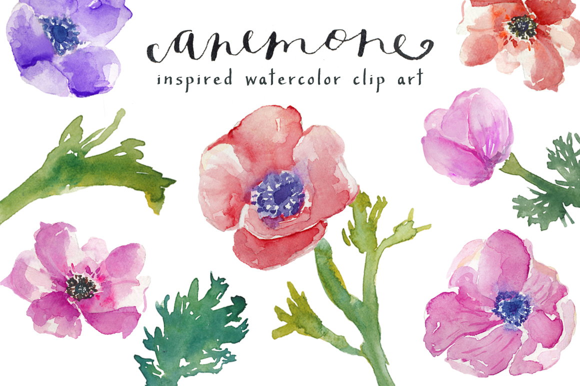 Anemone clipart #8, Download drawings