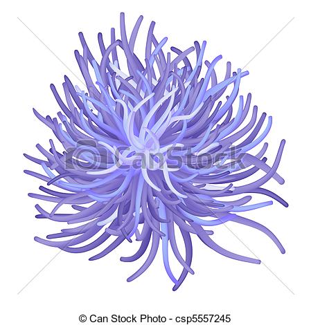 Anemone clipart #5, Download drawings