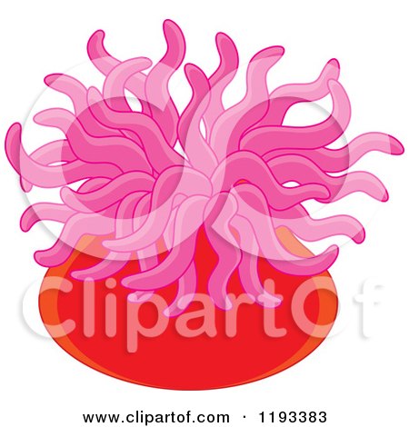 Sea Anemone clipart #14, Download drawings