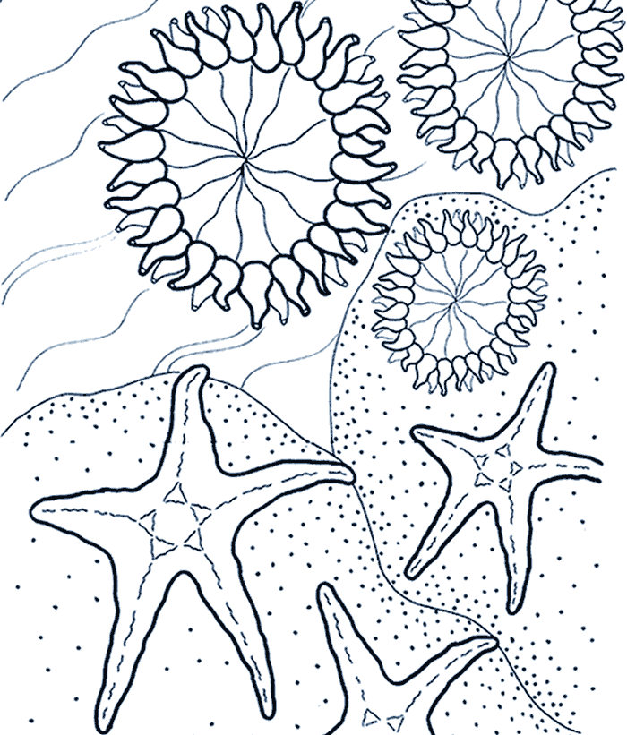 Anemone coloring #11, Download drawings
