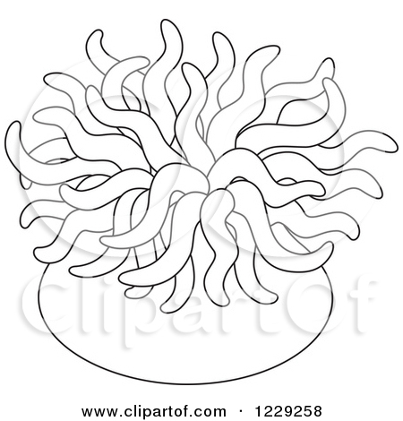 Sea Anemone coloring #5, Download drawings