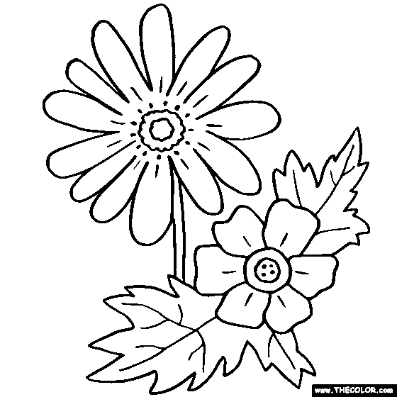 Anemone coloring #20, Download drawings