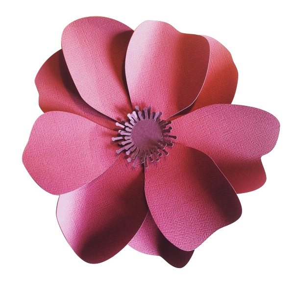 Anemone svg #6, Download drawings