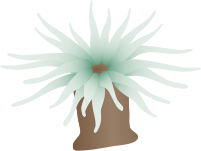 Anemone svg #7, Download drawings