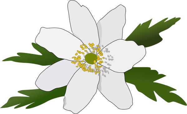 Anemone svg #8, Download drawings