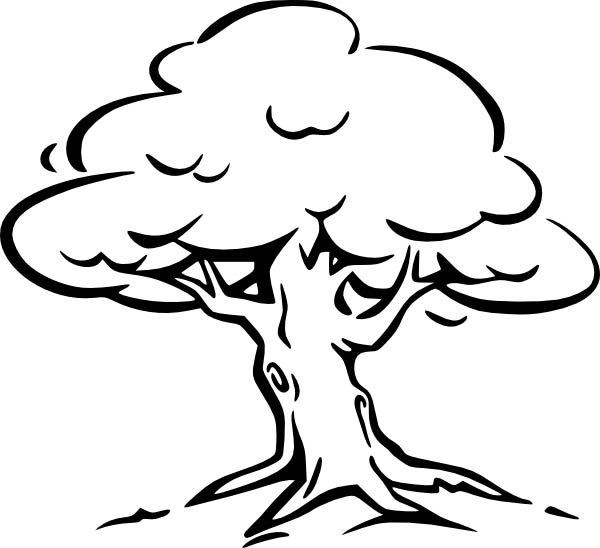 Angel Oak Tree coloring #9, Download drawings