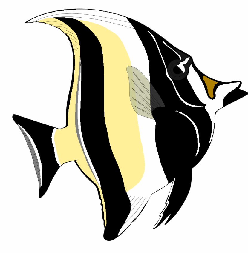 Angelfish clipart #4, Download drawings