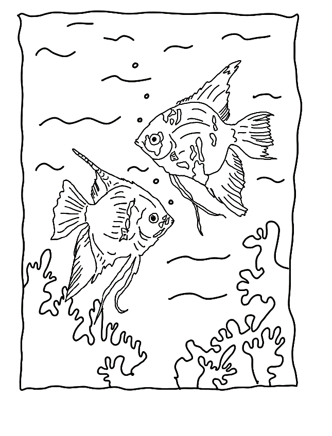 Angelfish coloring #18, Download drawings
