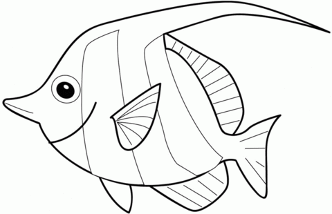 Angelfish coloring #13, Download drawings