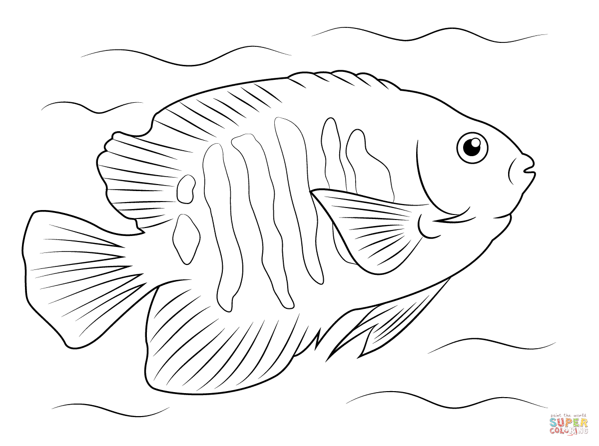 Angelfish coloring #11, Download drawings