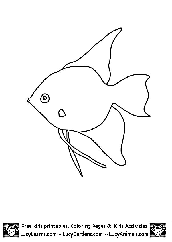 Angelfish coloring #12, Download drawings