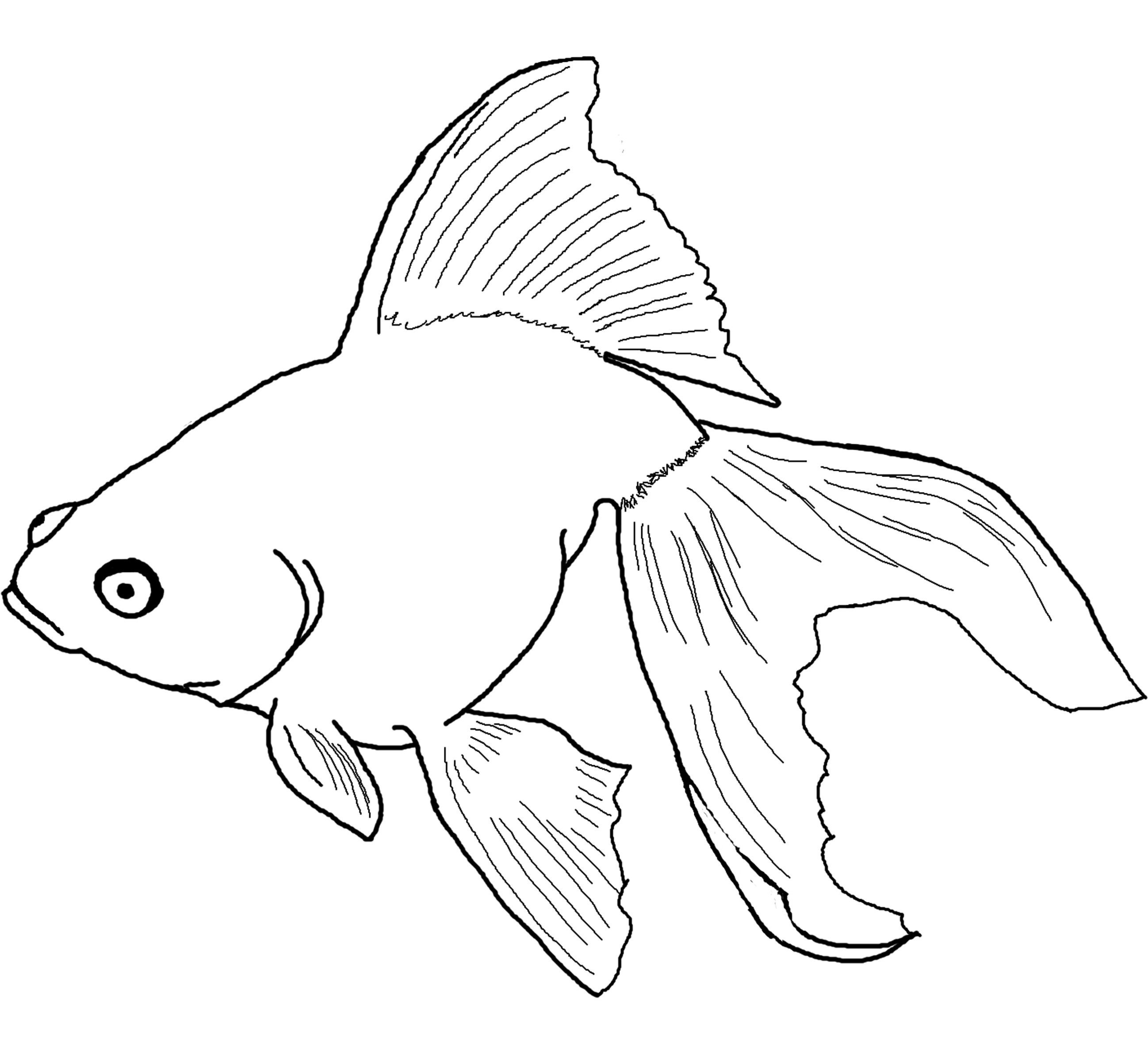 Goldfish coloring #17, Download drawings