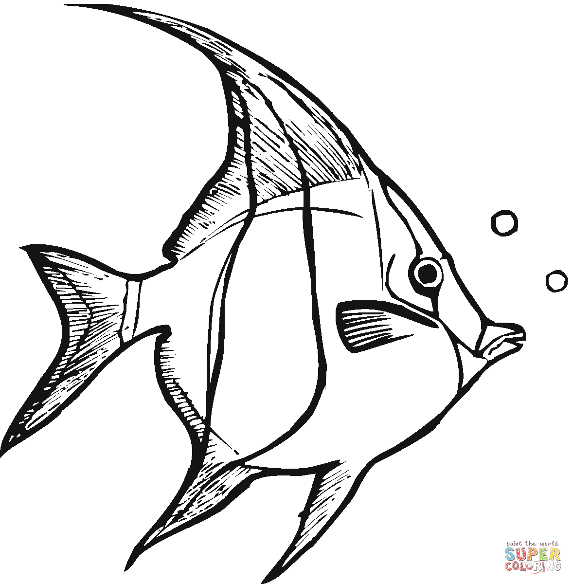 Angelfish coloring #17, Download drawings
