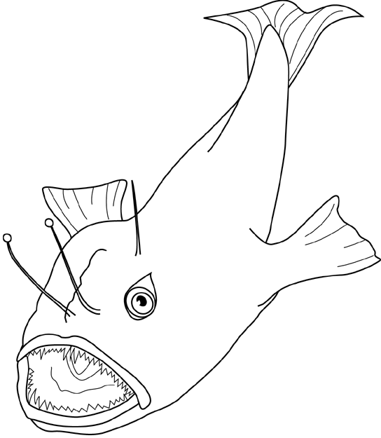 Anglerfish coloring #3, Download drawings