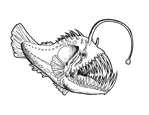 Anglerfish coloring #9, Download drawings