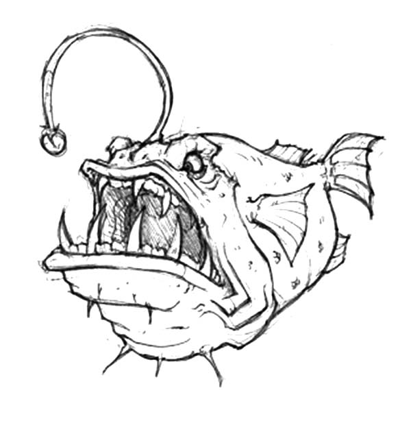 Anglerfish coloring #19, Download drawings