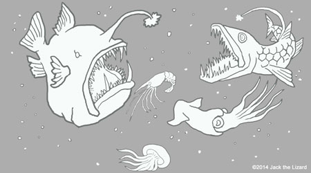 Anglerfish coloring #2, Download drawings