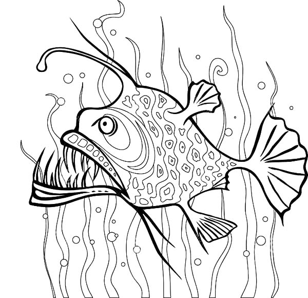 Anglerfish coloring #17, Download drawings