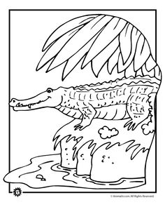 Everglades coloring #18, Download drawings