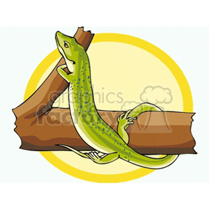 Green Anole clipart #6, Download drawings