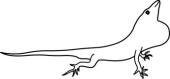 Anole clipart #15, Download drawings