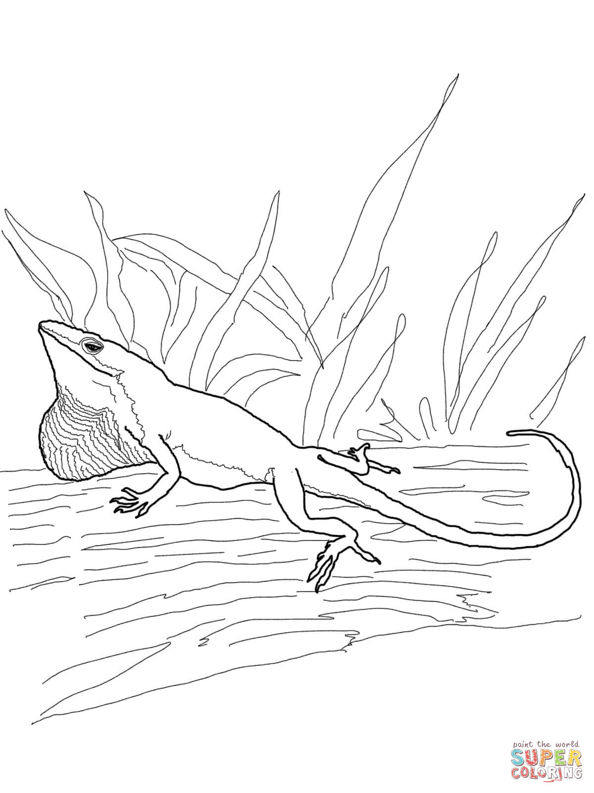 Anole coloring #10, Download drawings