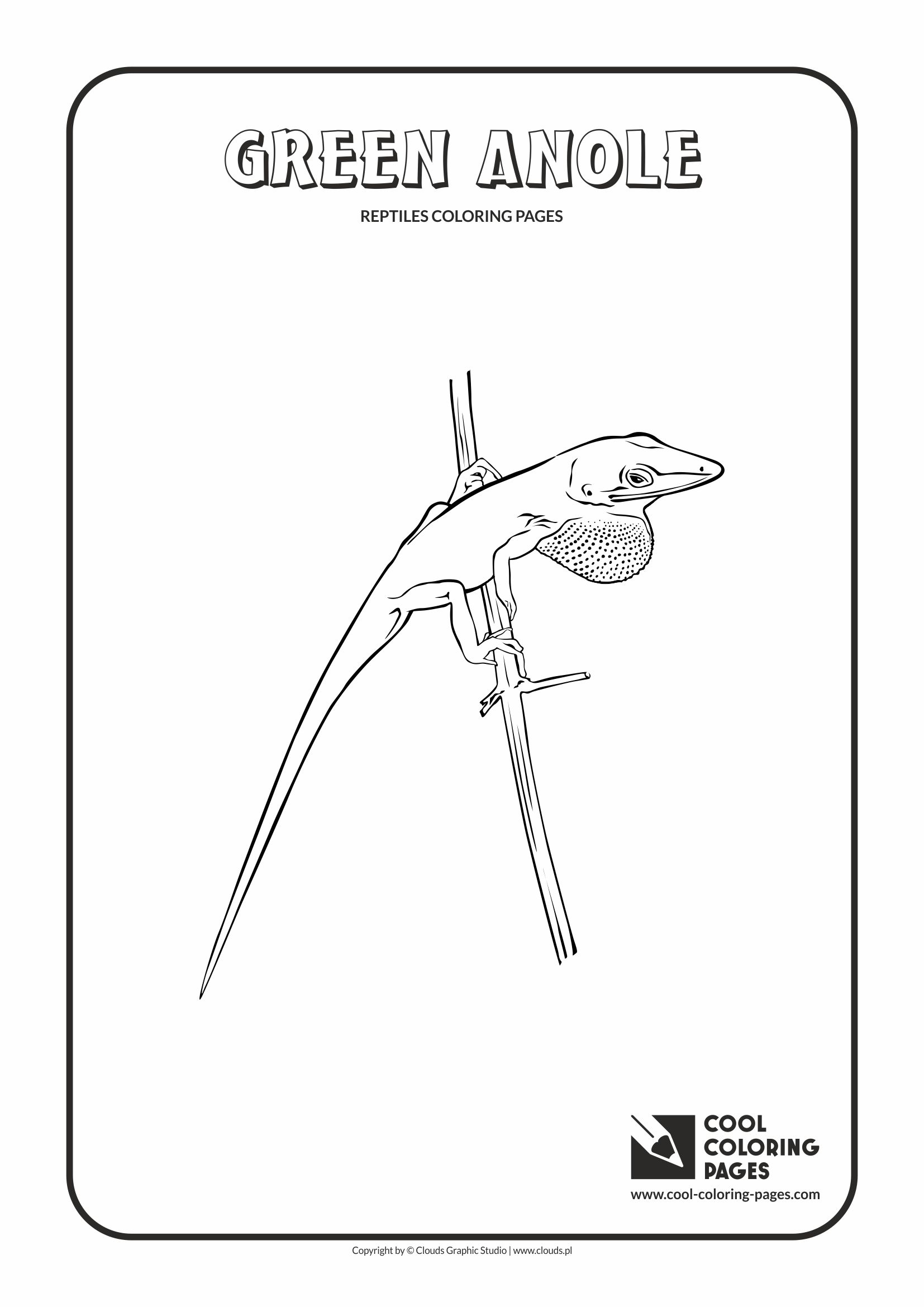Green Anole coloring #10, Download drawings