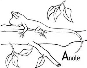 Anole coloring #20, Download drawings