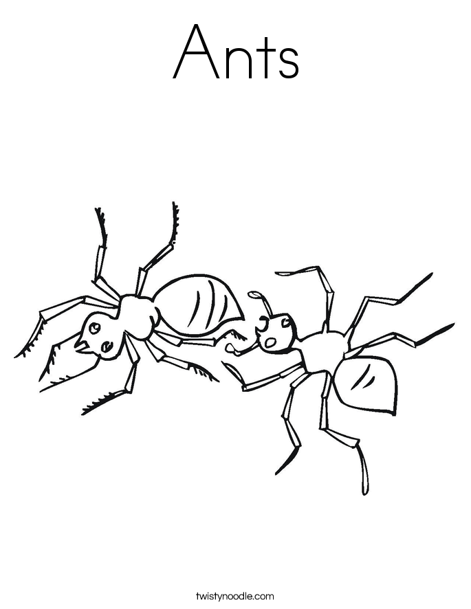 Ants coloring #20, Download drawings