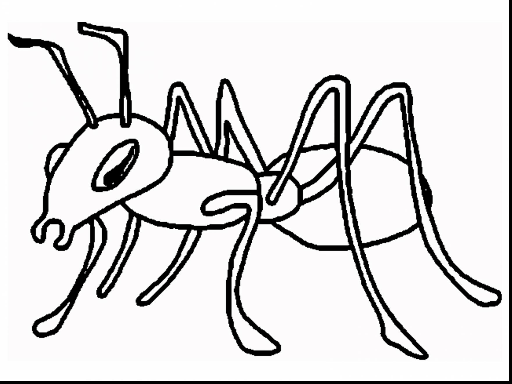 Ant coloring #13, Download drawings