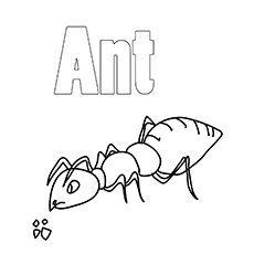 Ant coloring #18, Download drawings
