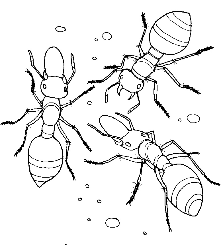Ant coloring #17, Download drawings