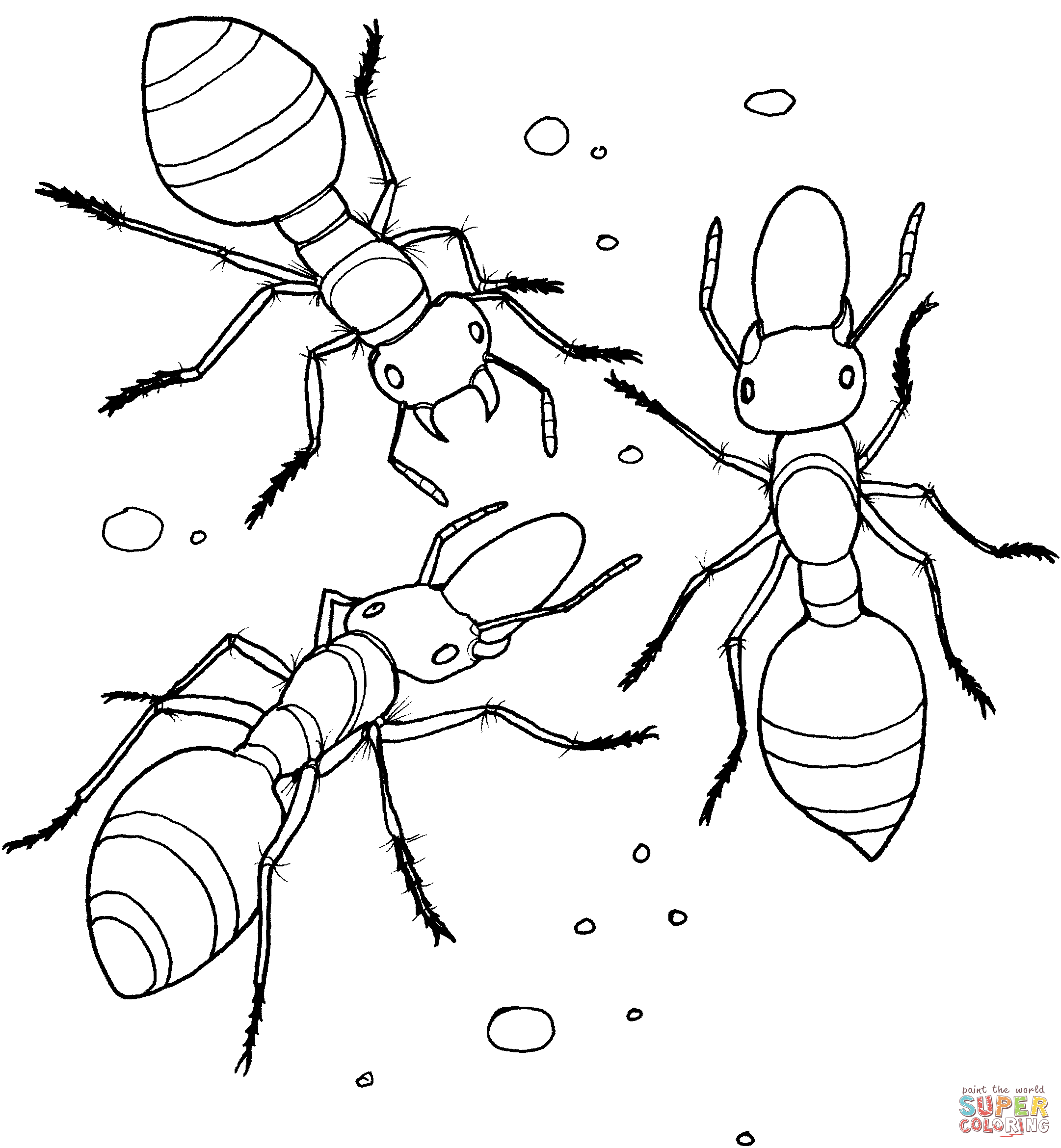 Ant coloring #20, Download drawings