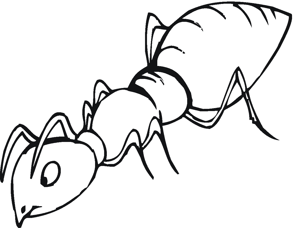 Ant coloring #6, Download drawings