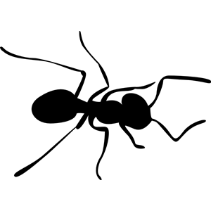 Ant svg #14, Download drawings