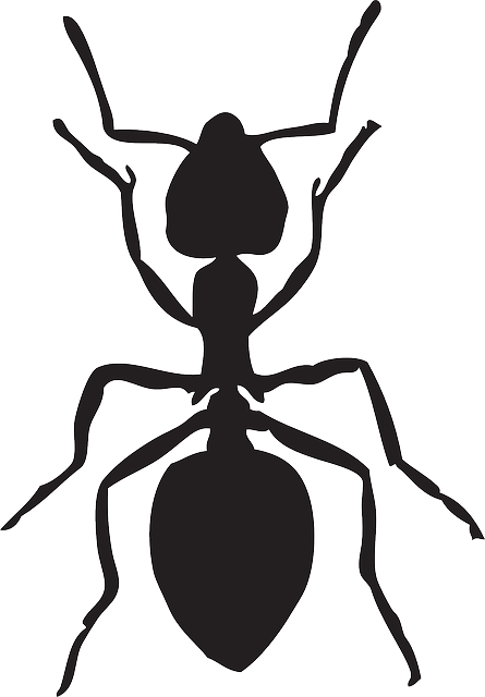 Ant svg #4, Download drawings